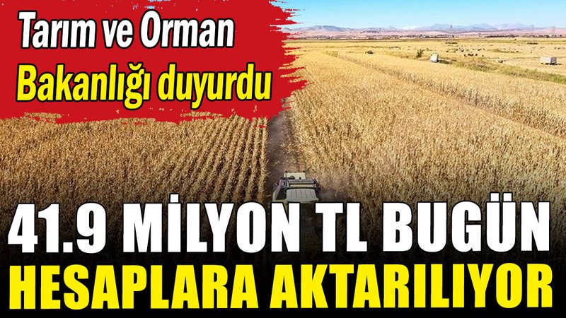 Tarım ve Orman Bakanlığı duyurdu: 41.9 milyon TL bugün hesaplara aktarılıyor