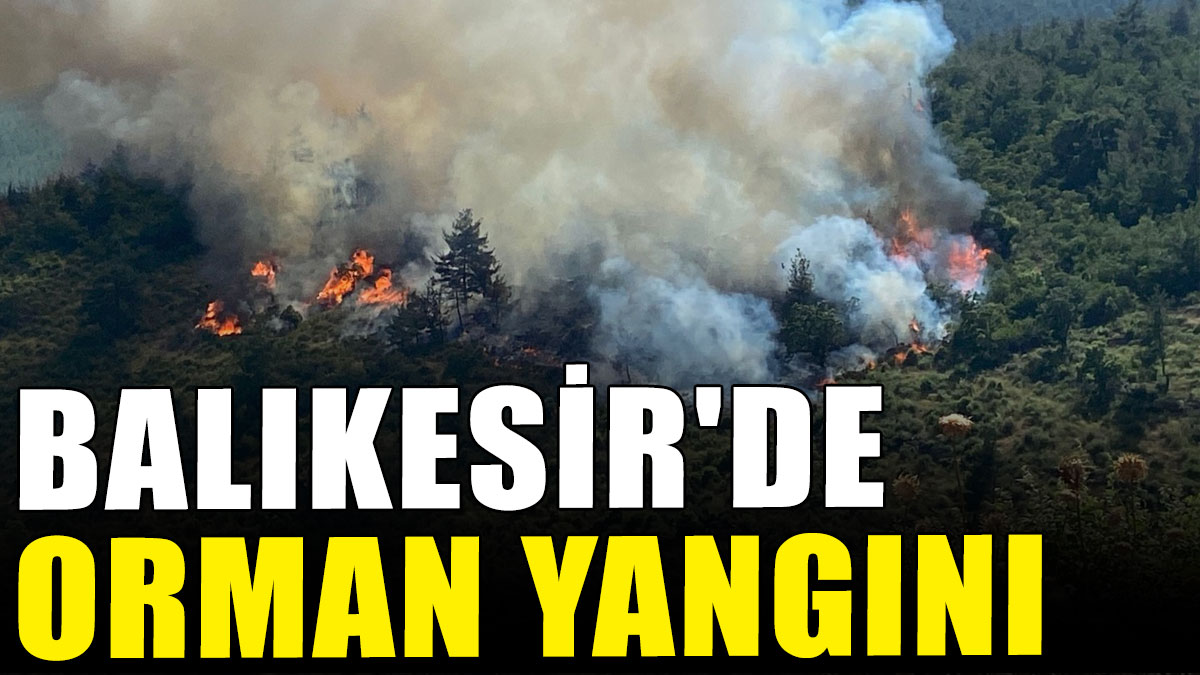 Balıkesir'de orman yangını