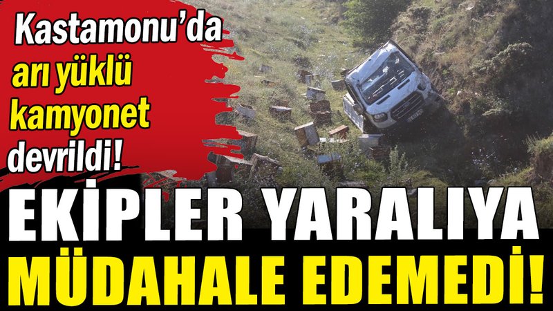 Kastamonu'da arı yüklü kamyonet devrildi: 1 yaralı