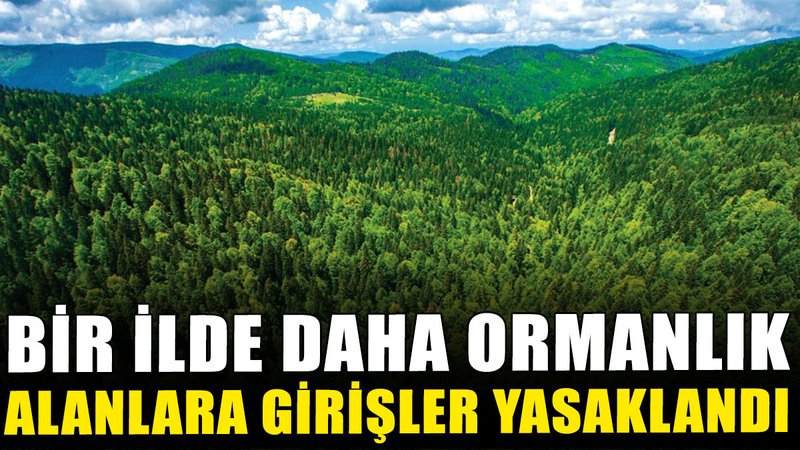 Bir ilde daha ormanlık alanlara girişler yasaklandı