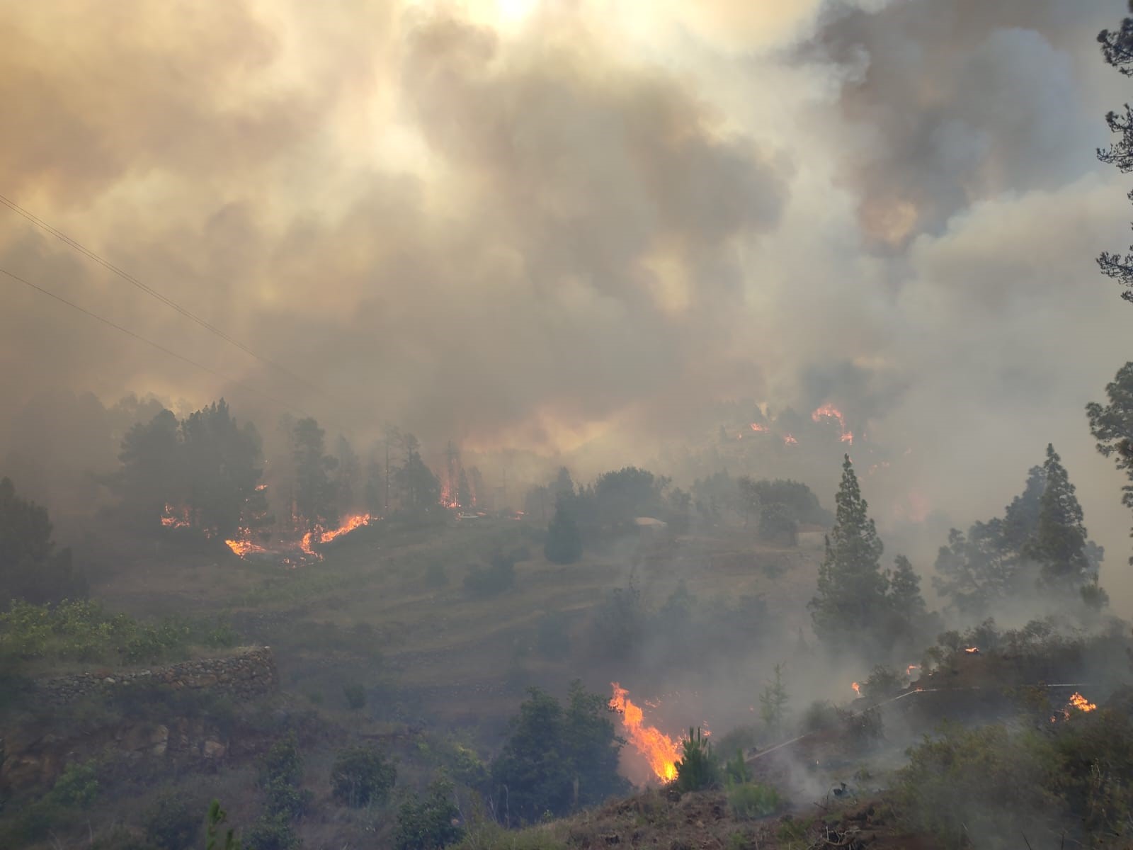 İspanya'da orman yangını nedeniyle yüzlerce kişi tahliye edildi