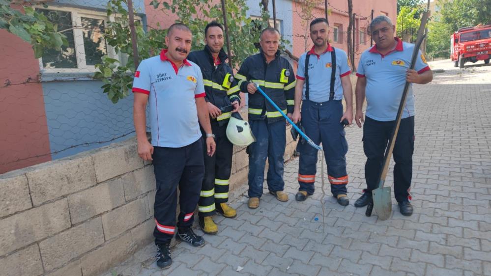 Siirt'te yılan paniği