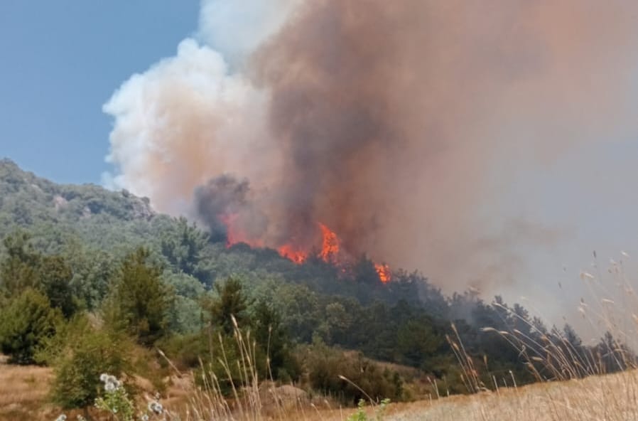 Osmaniye'de 400 dönüm orman alanı kül oldu