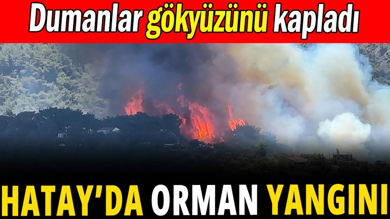 Hatay'da orman yangını: Dumanlar gökyüzünü kapladı