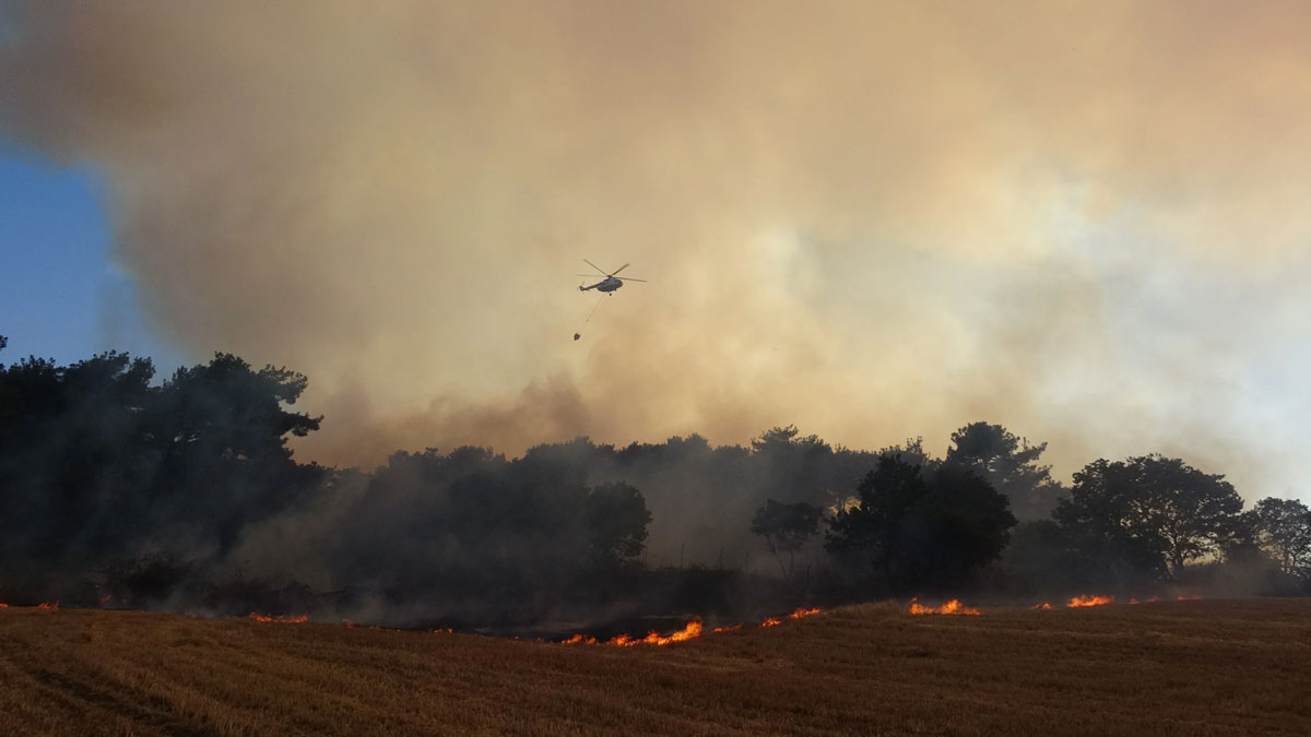 Çanakkale'de orman yangını