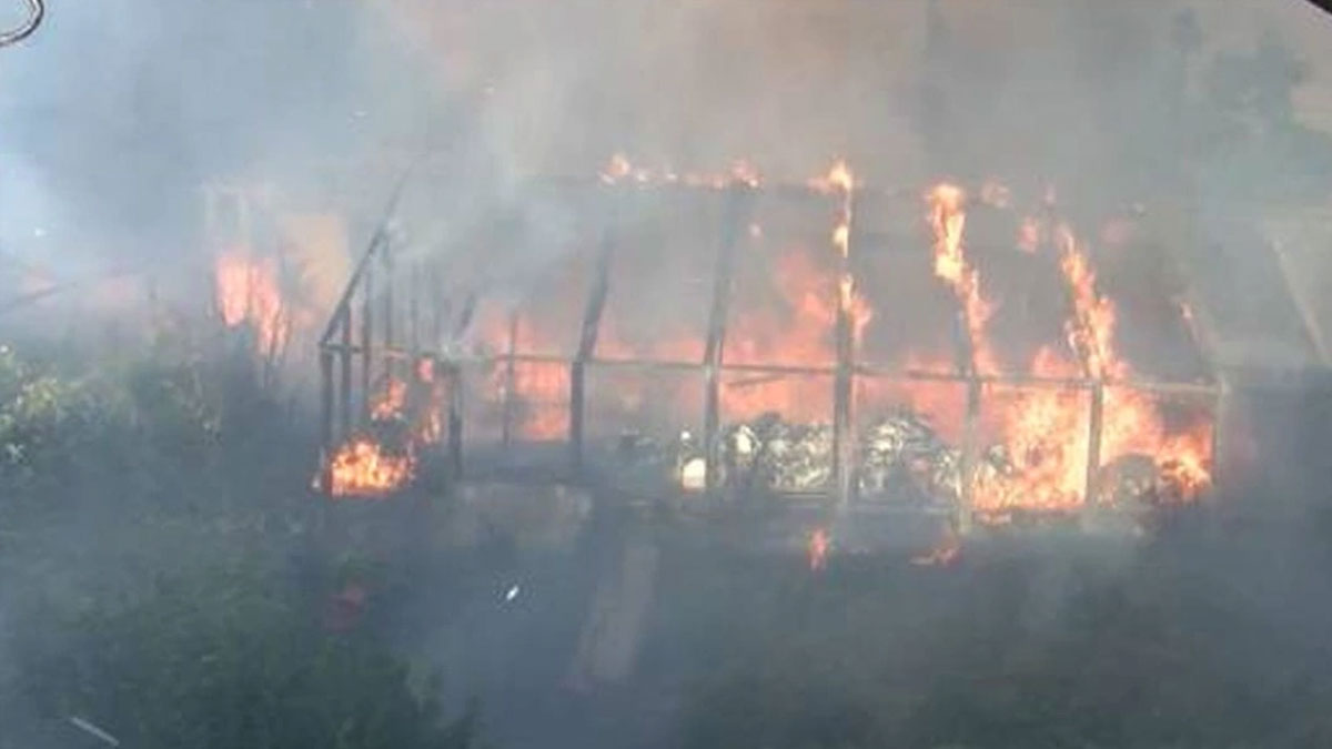 Beyoğlu'nda çiçek serası yandı
