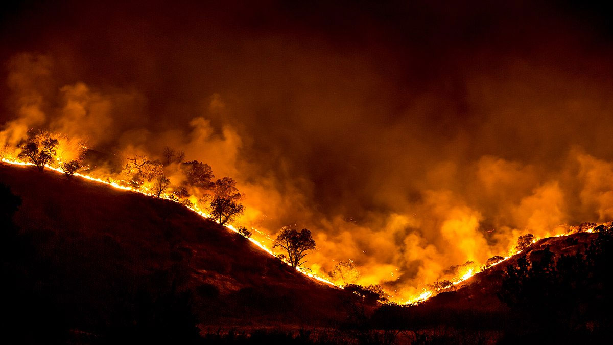 İzmir ve Manisa'da 9 orman yangını söndürüldü