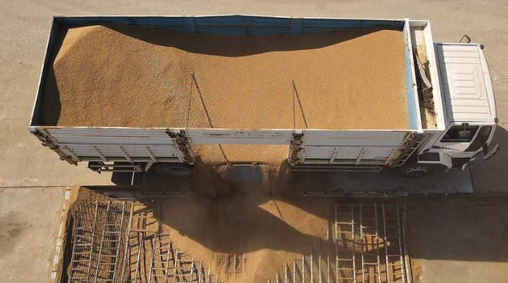 TMO hububatta arz edilen tüm ürünü alacak