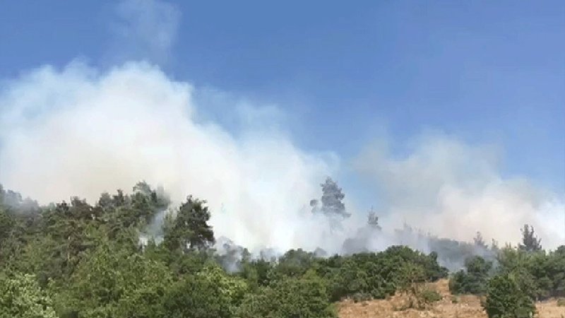 Balıkesir'deki yangında 5 hektar alan zarar gördü