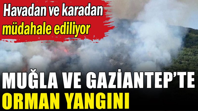 Muğla ve Gaziantep'te orman yangını