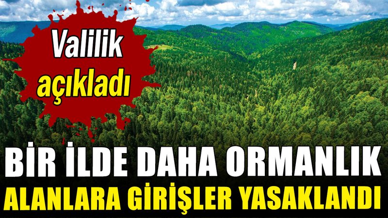 Valilikten açıklama: Bir ilde daha ormanlık alanlara giriş yasaklandı