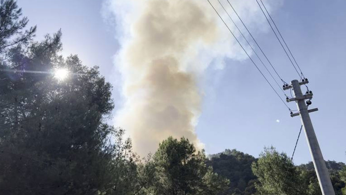 Alanya'da çıkan orman yangını kontrol altına alındı