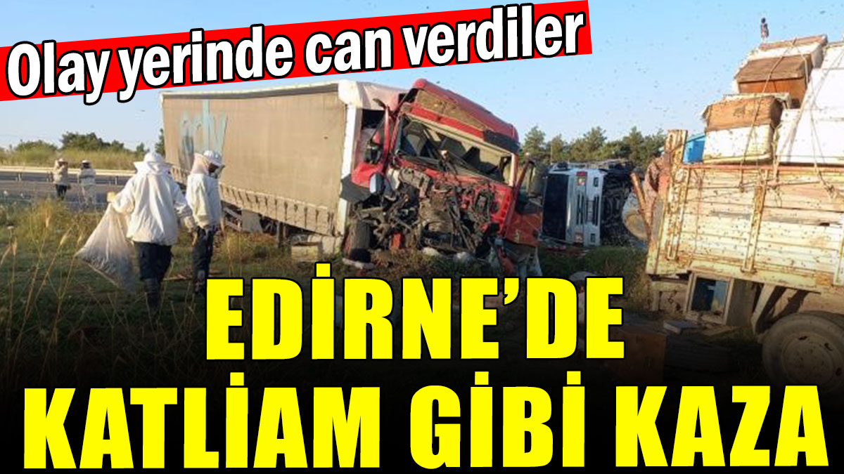Edirne'de katliam gibi kaza: Olay yerinde can verdiler
