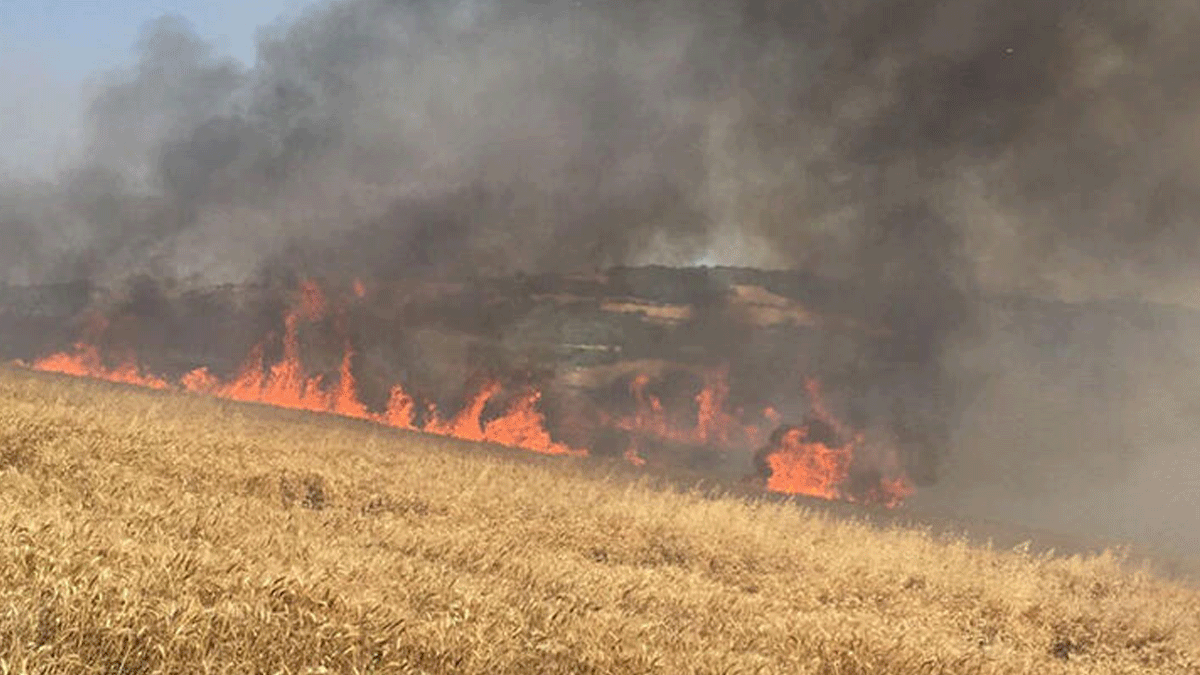 Amasya'da 4 dönüm tarla küle döndü