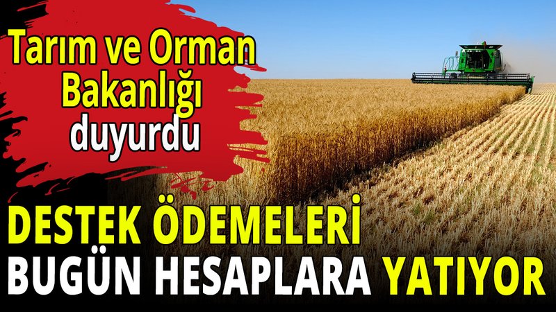 Tarım ve Orman Bakanlığı duyurdu: Destek ödemeleri bugün hesaplara yatıyor
