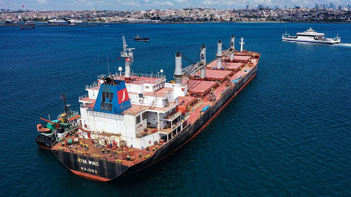 Mısır'dan Rusya’ya 'Tahıl Koridoru' çağrısı