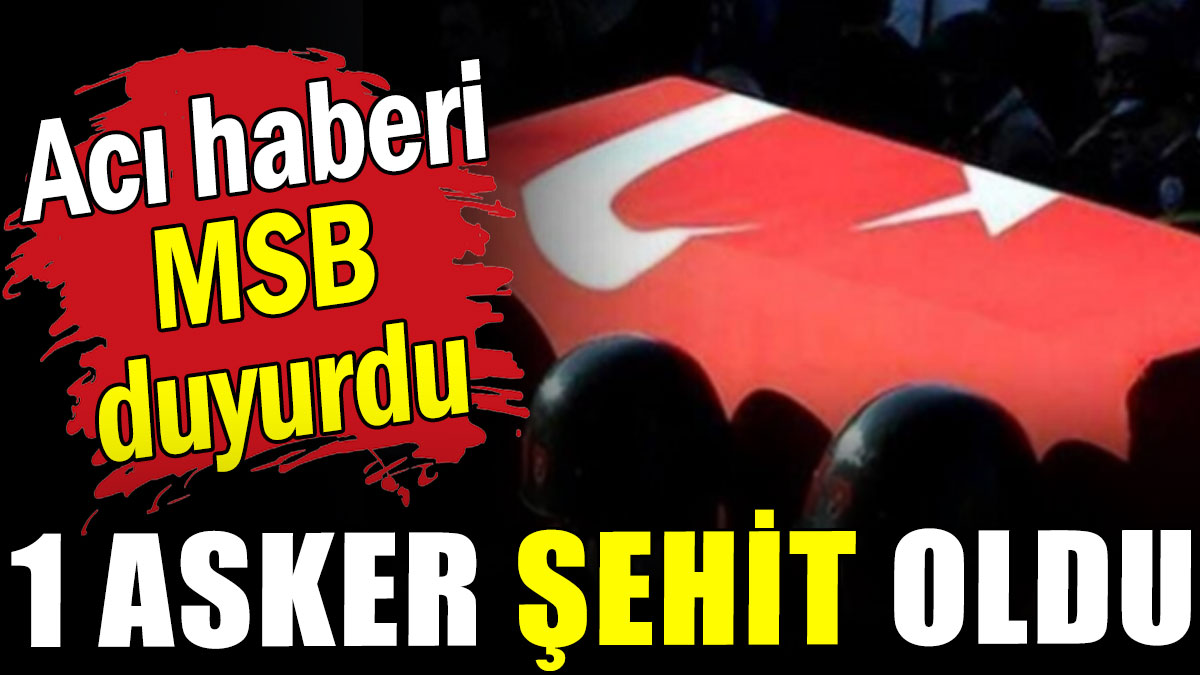 Acı haberi MSB duyurdu: 1 asker şehit oldu