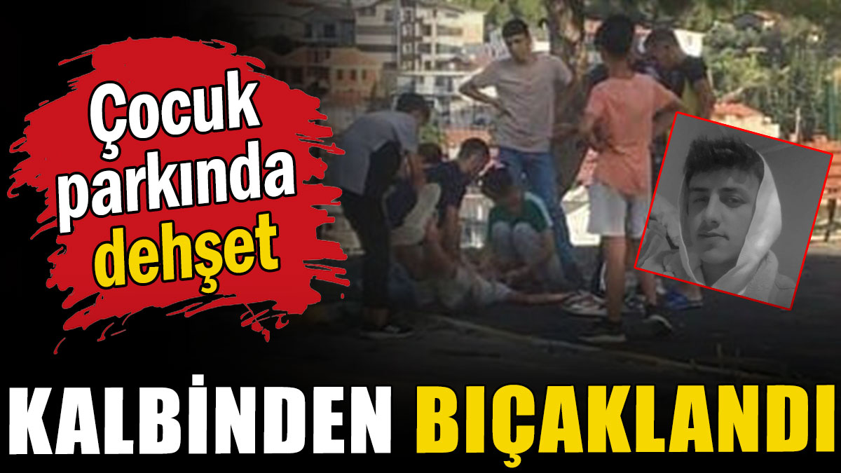 İzmir'de çocuk parkında dehşet: Kalbinden bıçaklandı