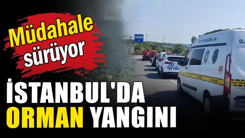 İstanbul'da orman yangını