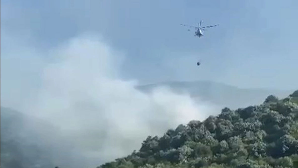 Uludağ'da orman yangını