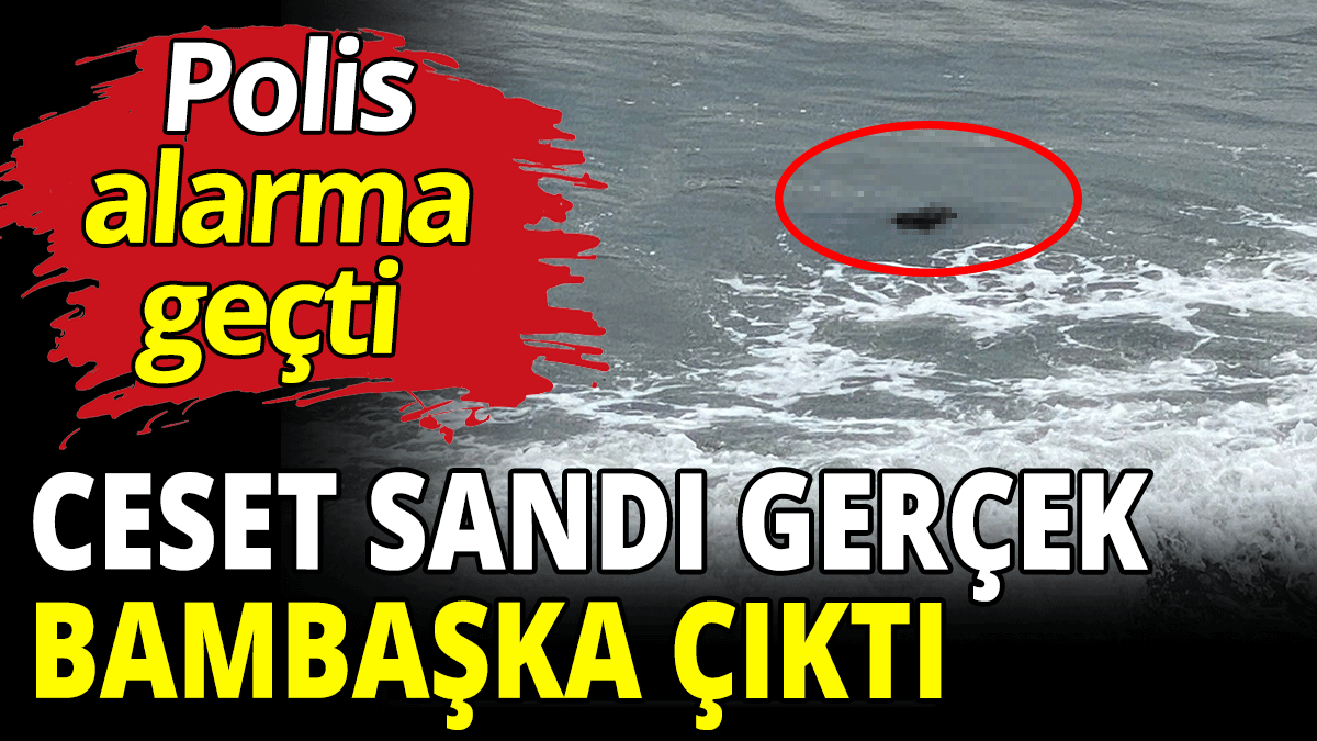 Ceset sandı gerçek bambaşka çıktı