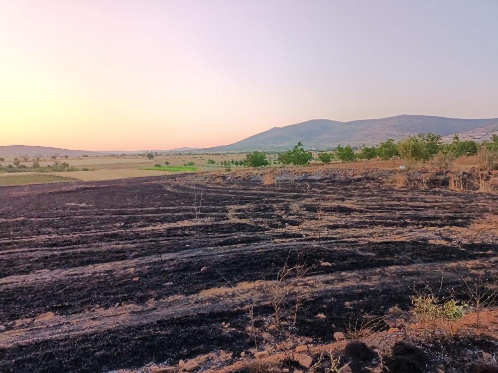 Konya'da arpa ekili arazide yangın çıktı