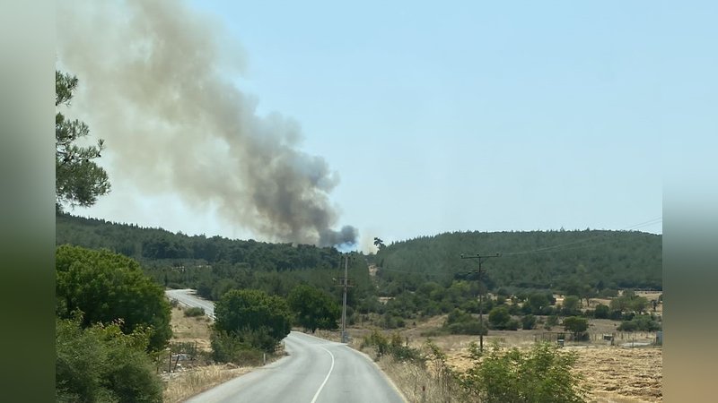 İzmir'de orman yangını: Havadan ve karadan müdahale ediliyor