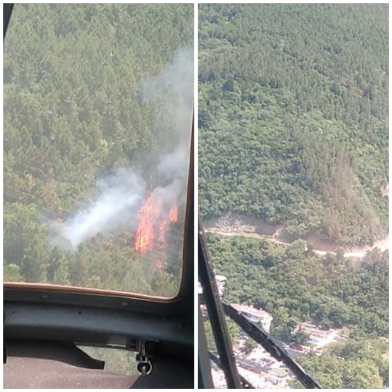 Yalova'da orman yangını