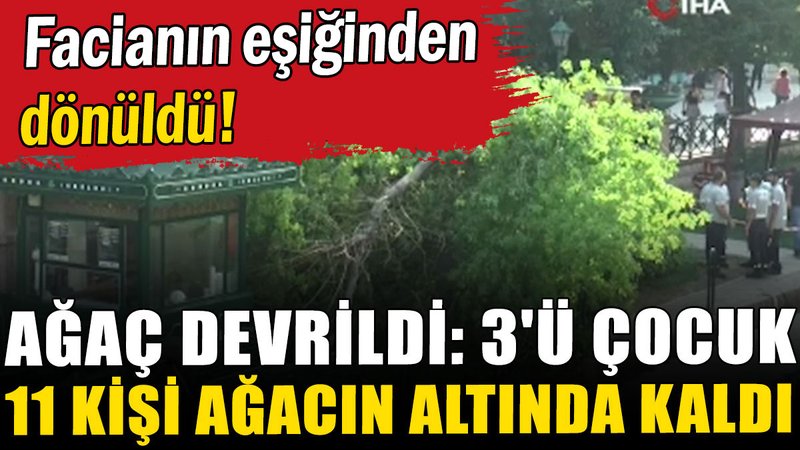 Eskişehir'de ağaç devrildi: 3'ü çocuk 11 kişi ağacın altında kaldı