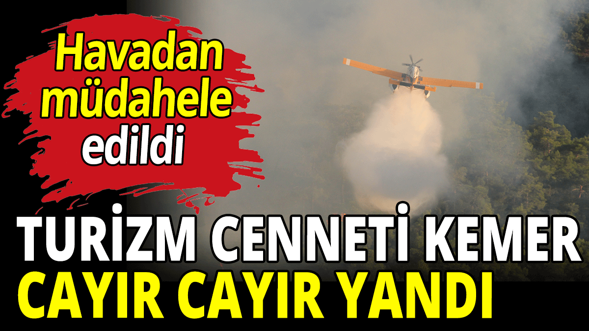 Kemer cayır cayır yandı