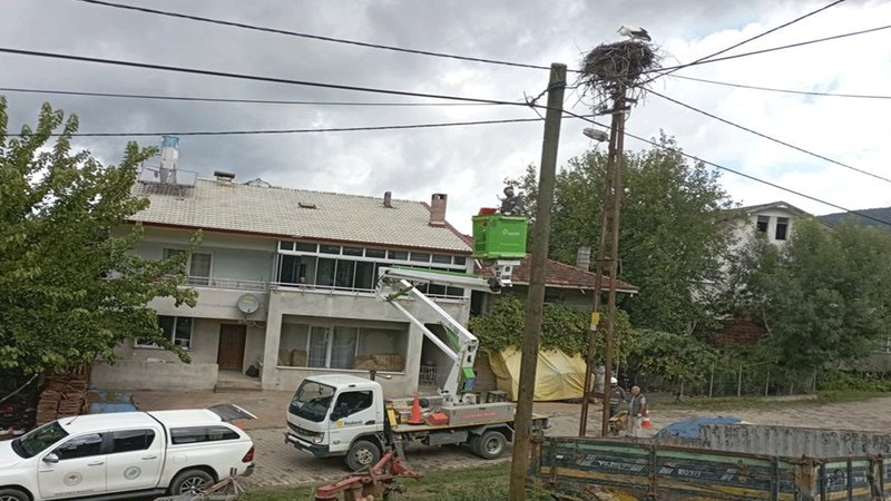 Ayaklarına alçı bandajı dolanan leylek kurtarıldı