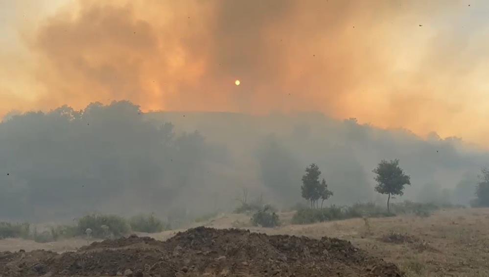 Bingöl’de iki köyde çıkan orman yangını söndürüldü