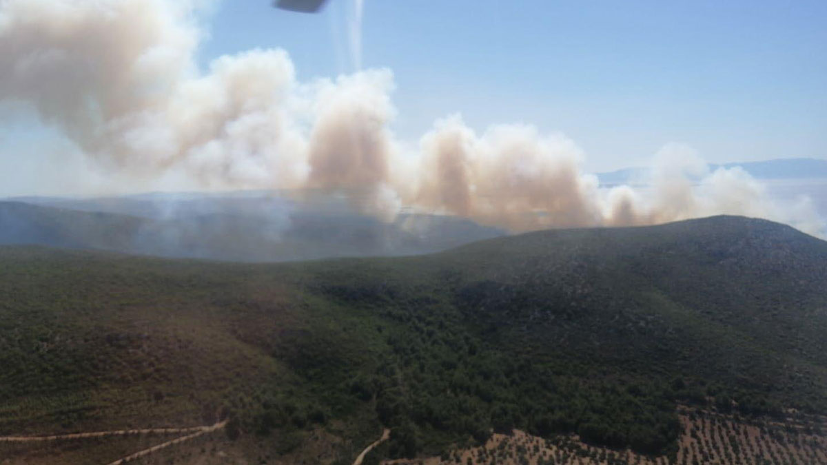 İzmir'de orman yangını: Havadan ve karadan müdahale sürüyor