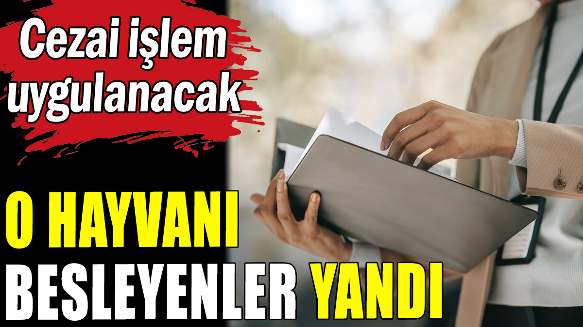 O hayvanı besleyenler yandı: Cezai işlem uygulanacak