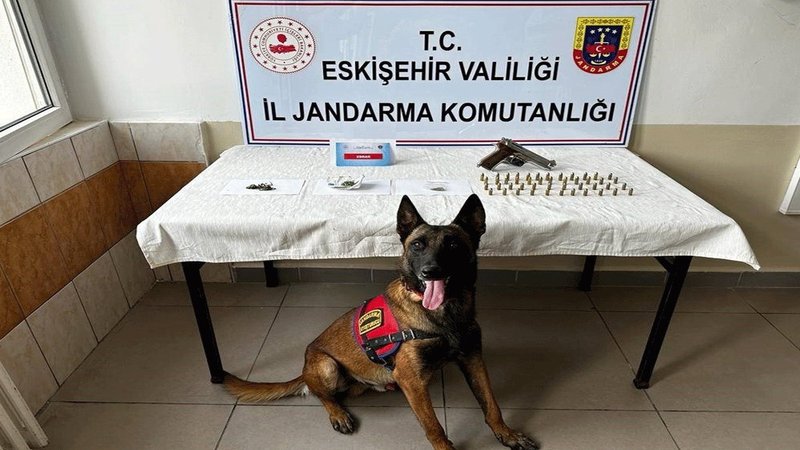 Mezarlığa uyuşturucu eken şahıslar yakalandı