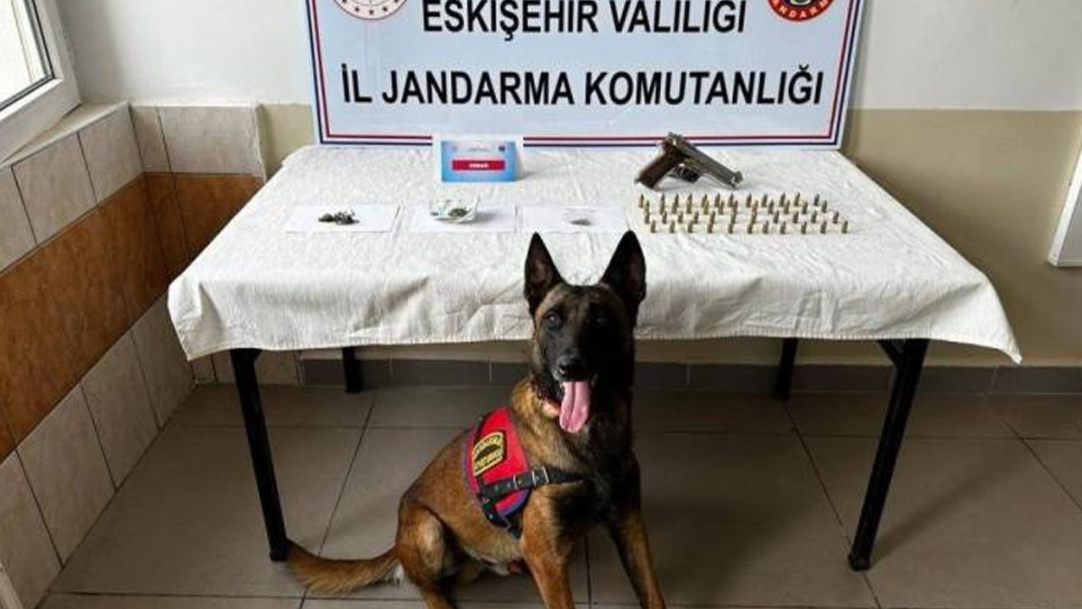 Eskişehir'de mezarlıkta kenevir yetiştiren 2 kişi gözaltında