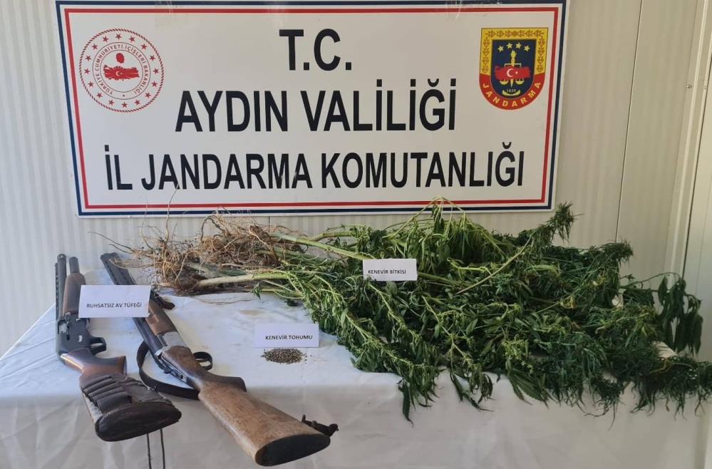 Aydın'da uyuşturucu operasyonu: 1 gözaltı