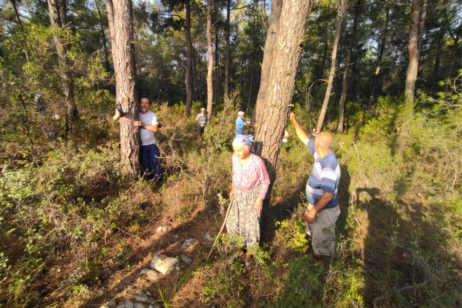 Akbelen'de kesim çalışmaları sona erdi
