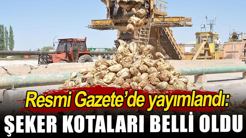 Şeker kotaları belli oldu