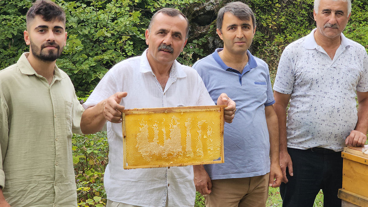 Arılar petek üzerine 'Allah' yazdı