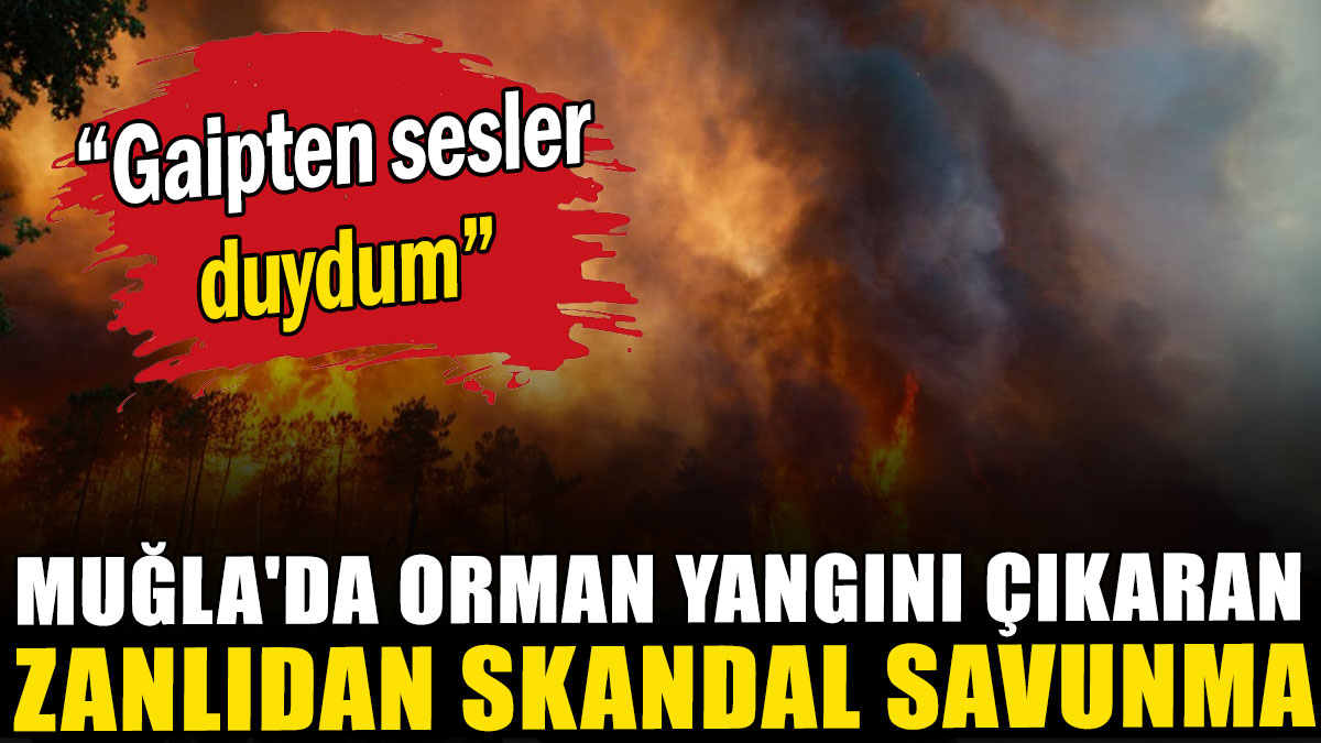 Muğla'da orman yangını çıkaran zanlıdan skandal savunma