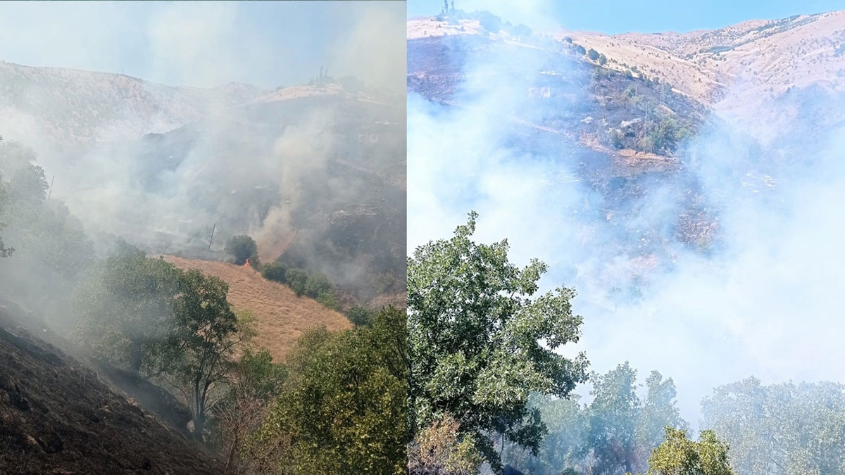 Malatya'da orman yangını: 500 hektarlık alan kül oldu