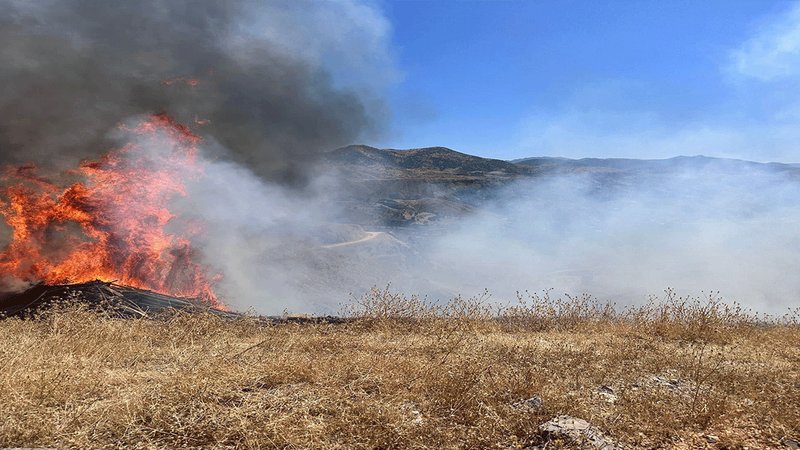 Sigara izmariti otluk alanı tutuşturdu