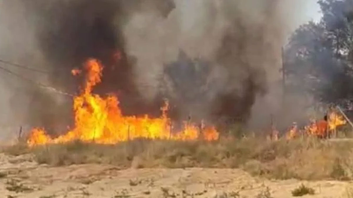 Isparta'da 10 dönümlük sazlık küle döndü