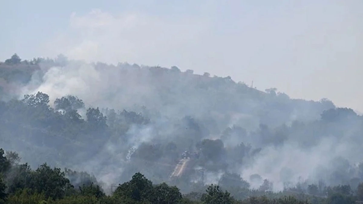 Türkiye-Bulgaristan sınırında orman yangını