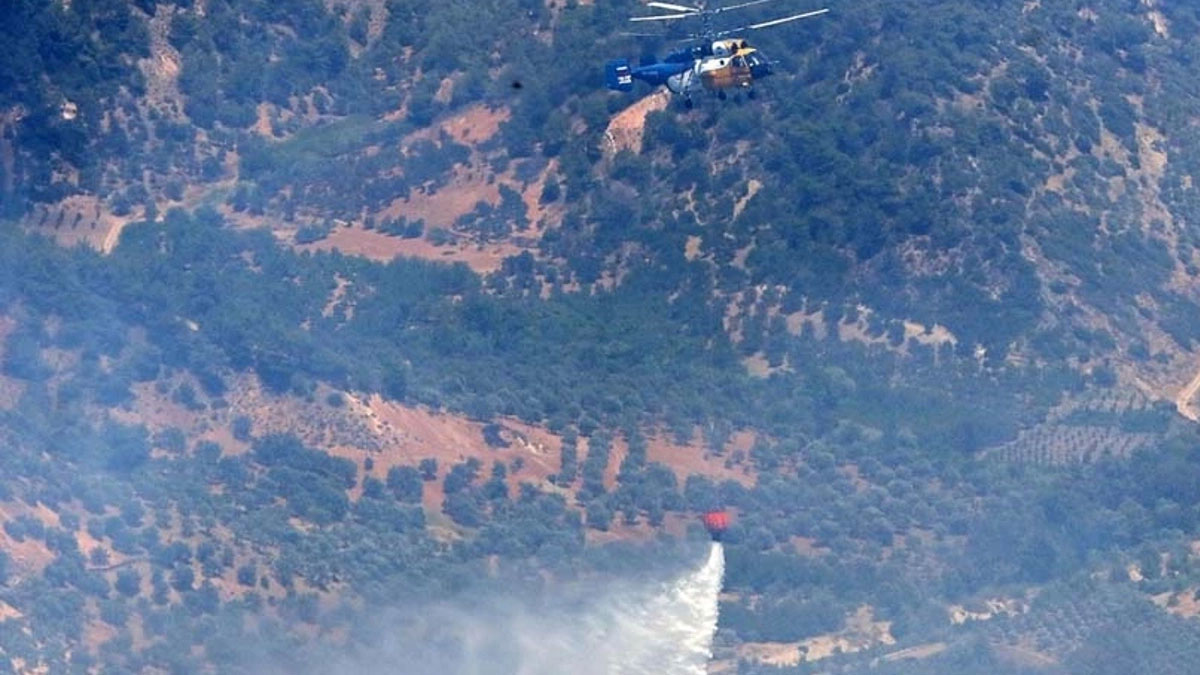 Hatay'da orman yangınına sebep olan 4 kişi yakalandı