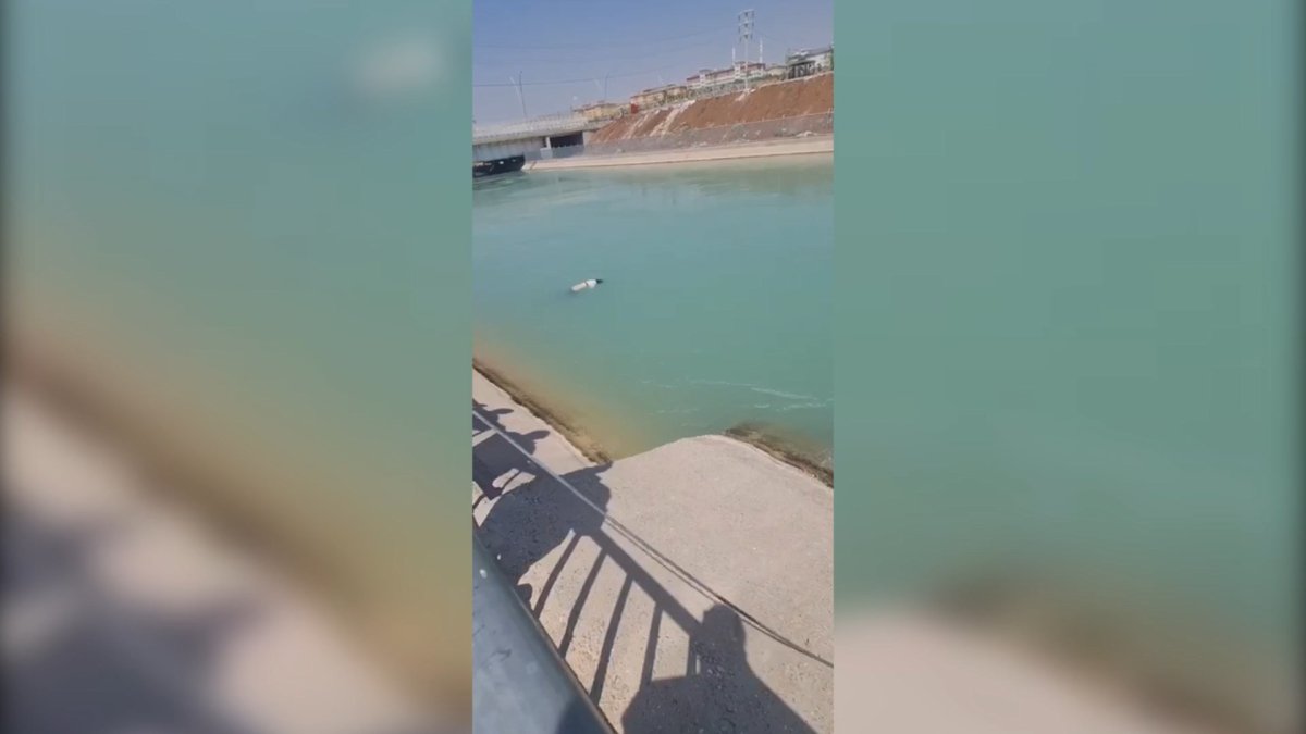 Şanlıurfa'da sulama kanalında kadın cesedi bulundu