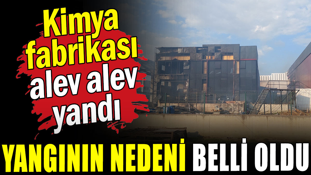 Kimya  fabrikası  alev alev  yandı: Yangının nedeni belli oldu