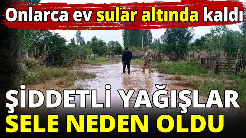 Şiddetli yağışlar sele neden oldu! Onlarca ev sular altında kaldı