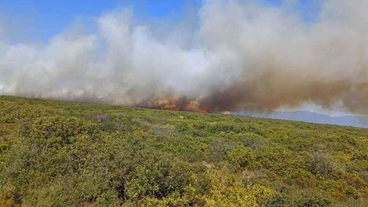 Didim'de maki yangını çıktı